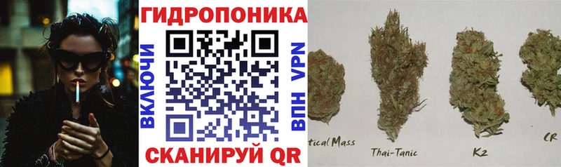 Как найти закладки Каневская Гашиш  Меф мяу мяу 